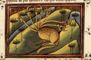 02.Apocalypse _The dragon with seven heads (Utrecht, 1450)