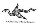 07.amphiptere