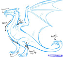 22.how-to-draw-a-wyvern