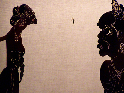 wayang
